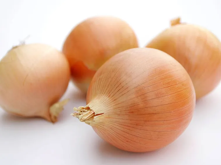 Cipolla bionda