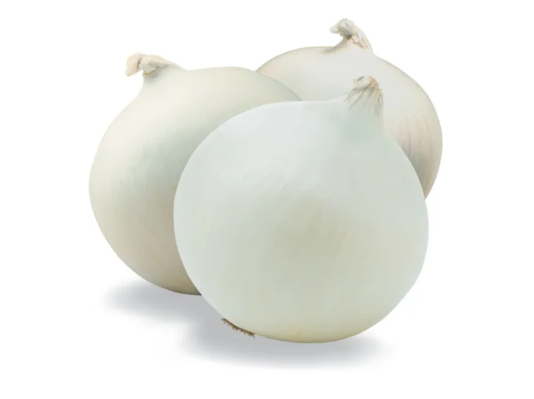 Cipolla bianca