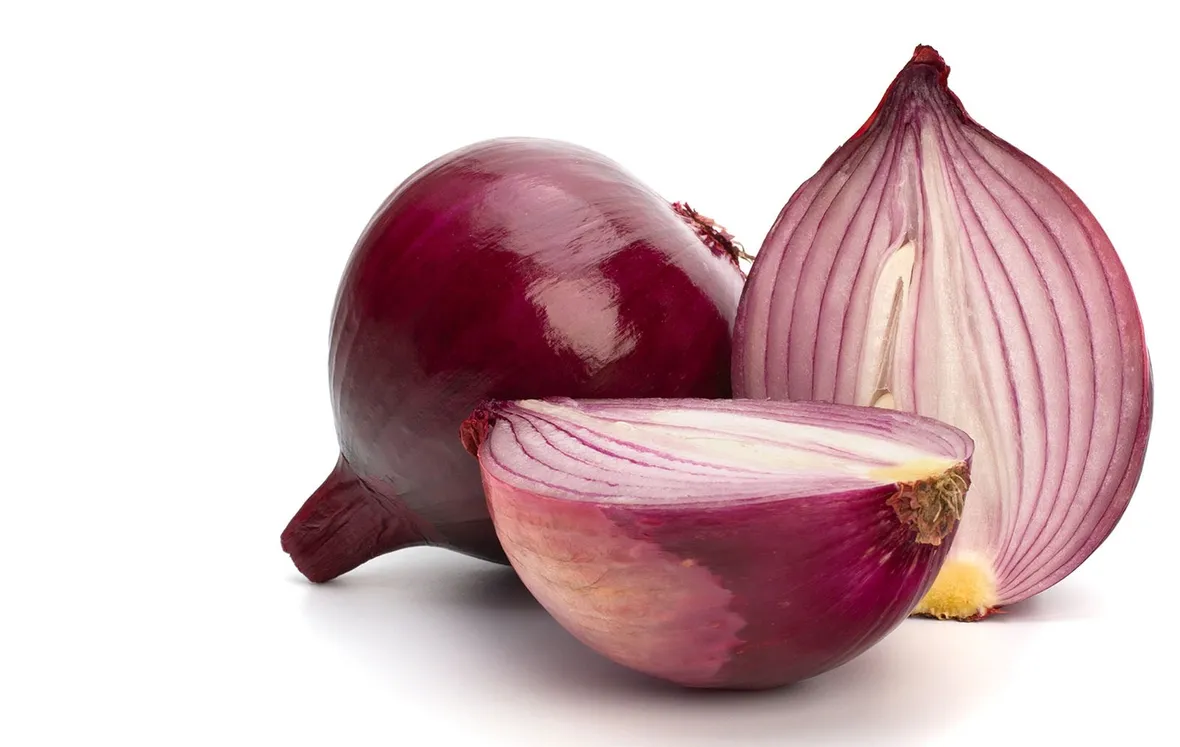 Cipolla rossa