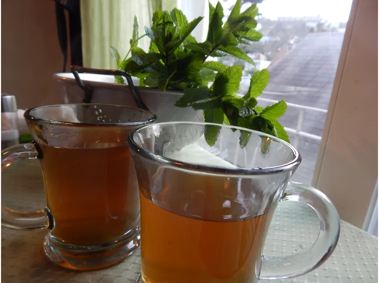 decotto menta