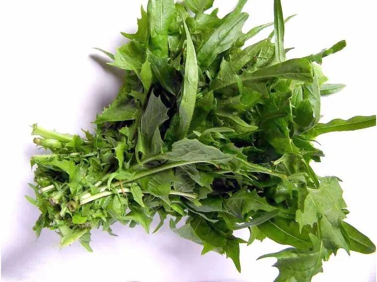 foglie per il decotto