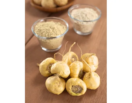 maca estratto secco