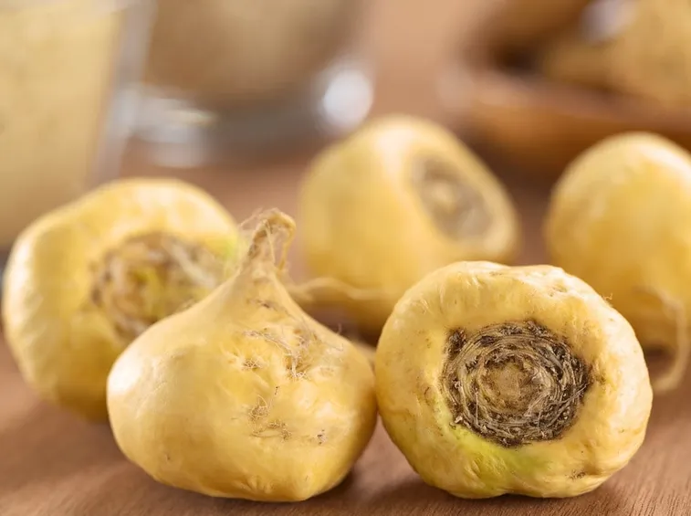 maca estratto secco