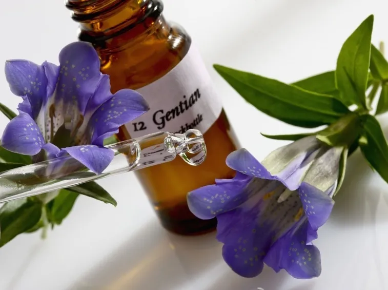 fiori di Bach test