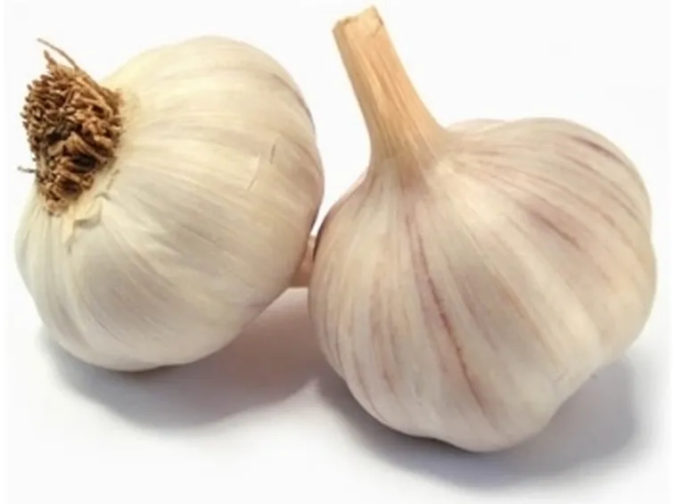 aglio 2