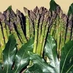 asparago