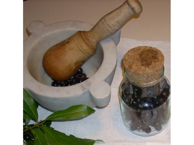 materiale per olio di bacche di alloro