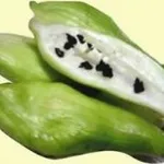 caigua