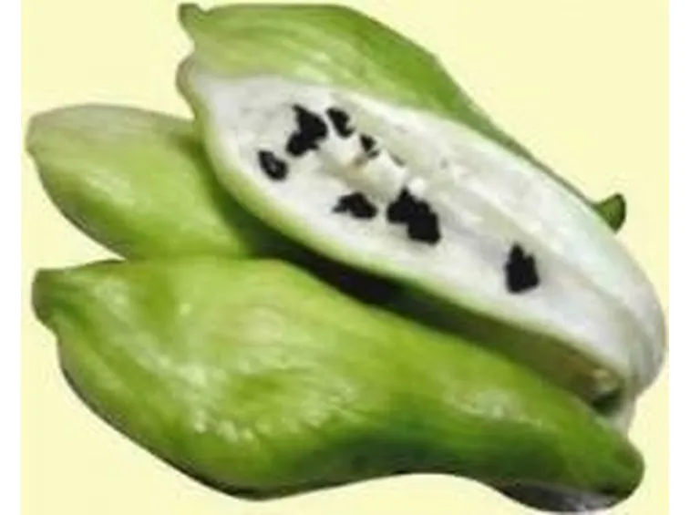 caigua