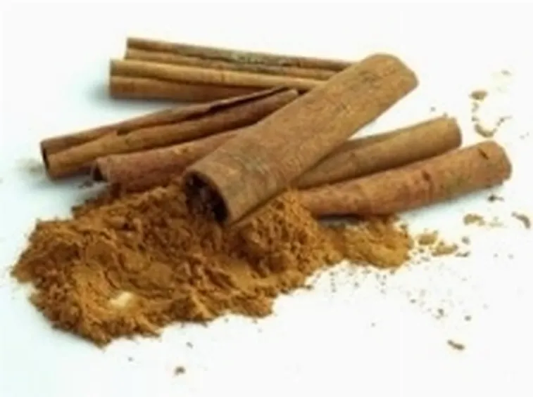 cannella2