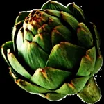 carciofo