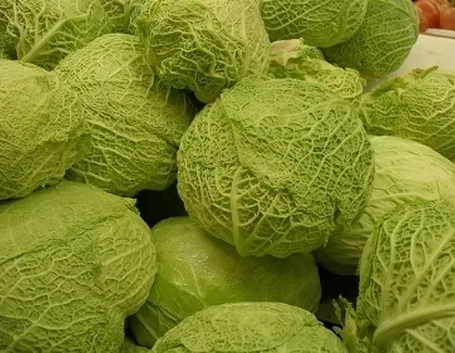 cavolo