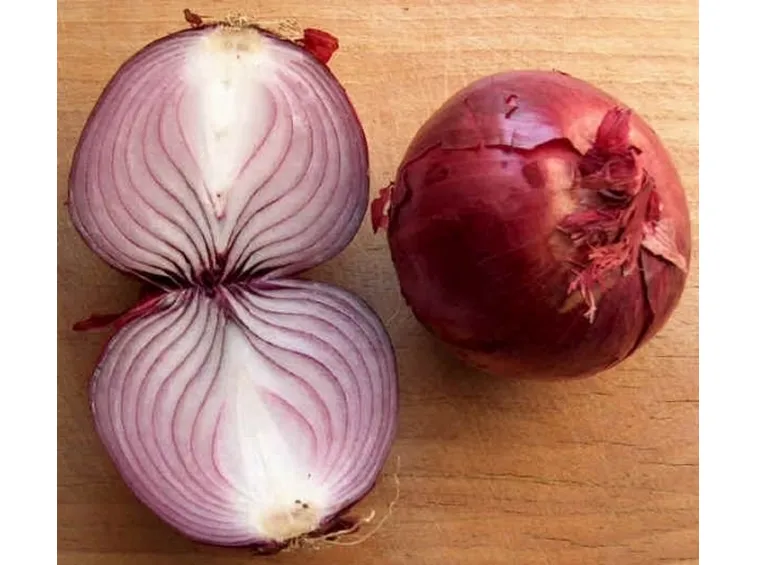 cipolla2