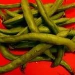 fava1