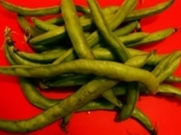 fava1