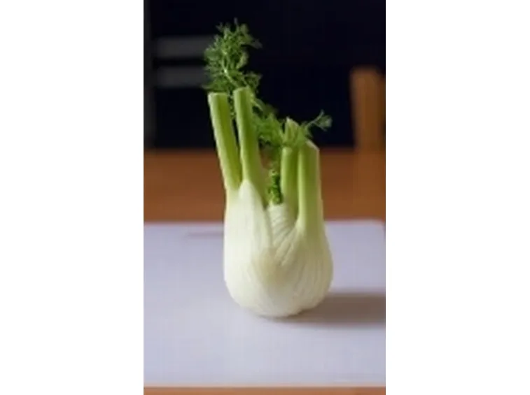 finocchio2