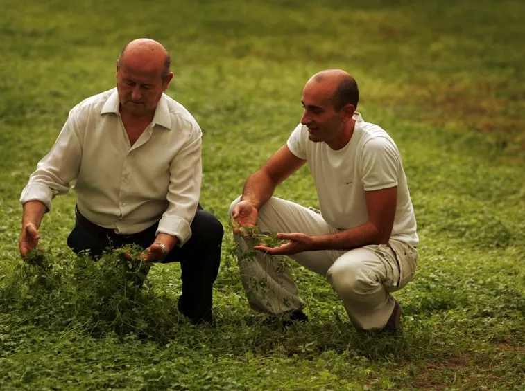 Gin-pent Ambrogio papà e figlio