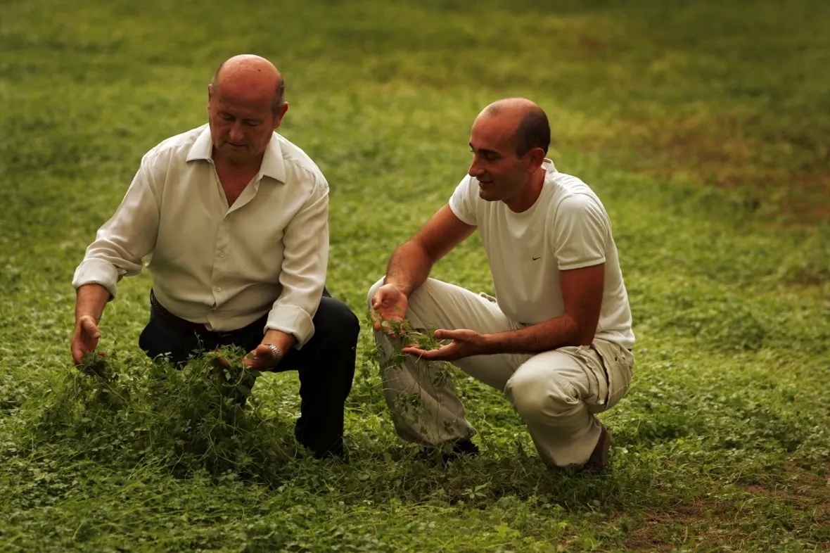 Gin-pent Ambrogio papà e figlio
