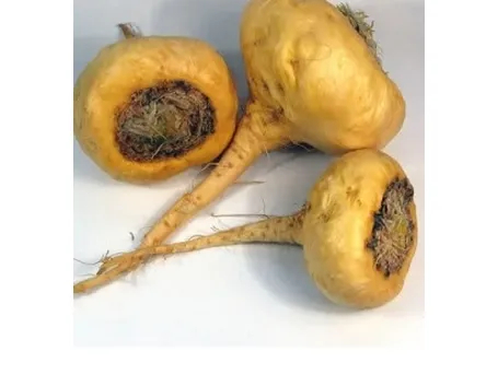 maca1