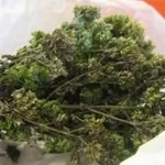 origano1