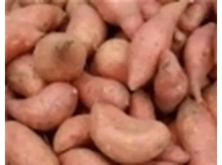 Patata dolce