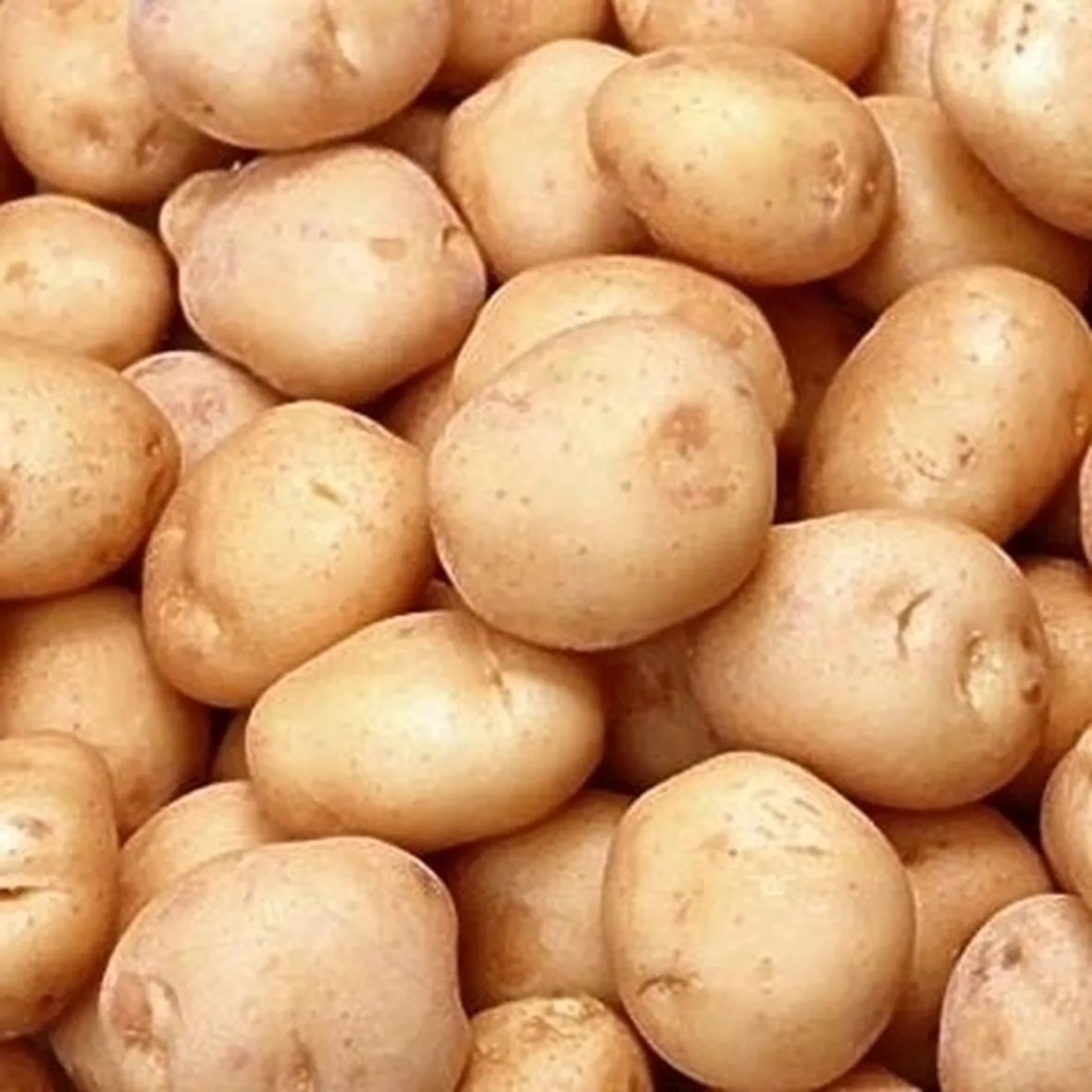 Patate