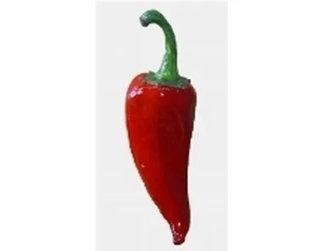 Peperoncino