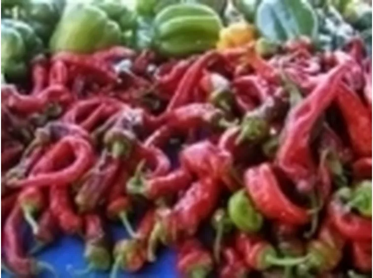 Peperoncino