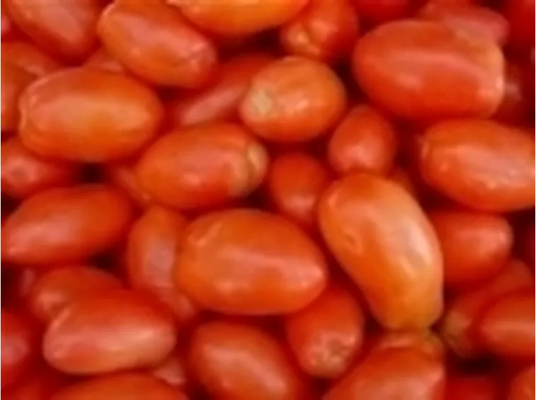 Pomodori