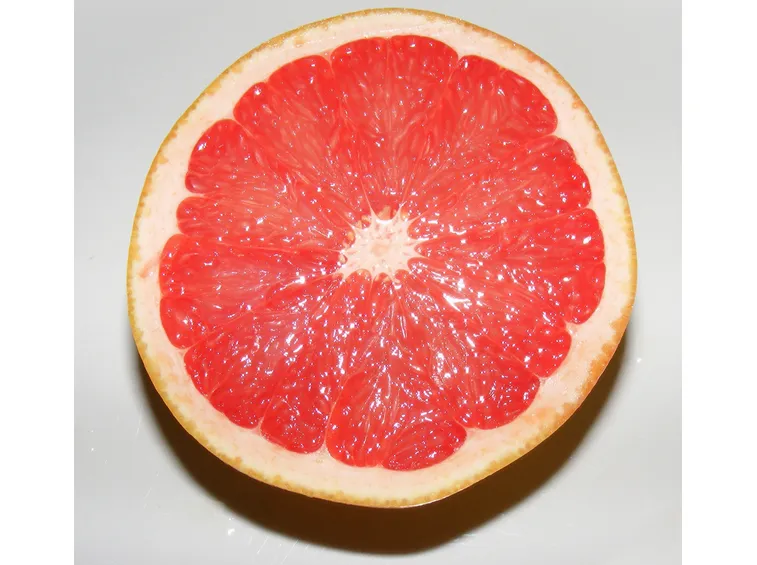 Pompelmo