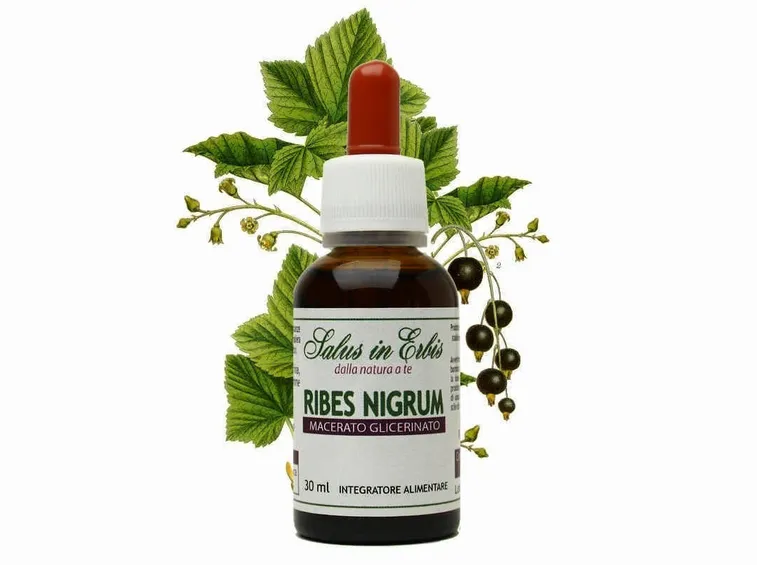 estratto ribes nero