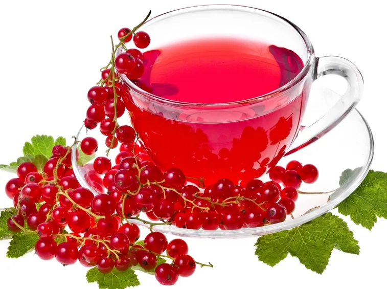 ribes rosso tisana