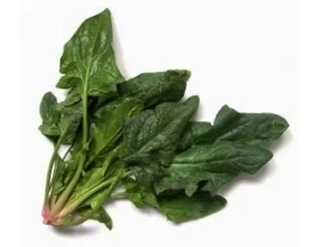 spinaci2