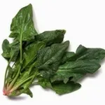spinaci2