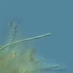 spirulina