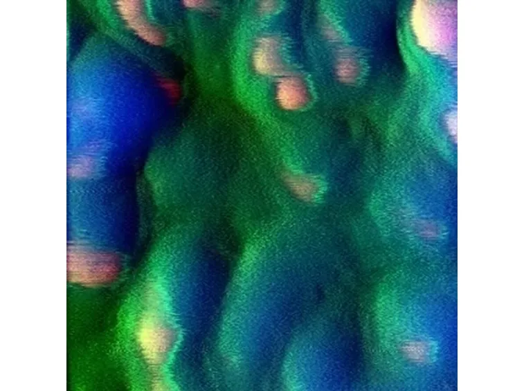 spirulina2