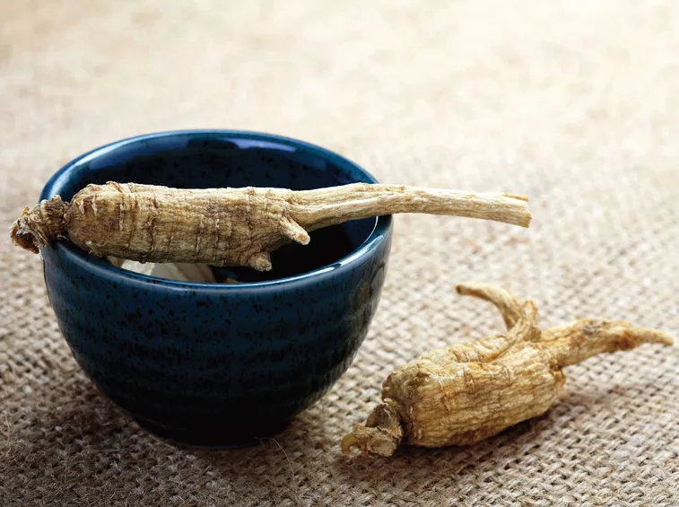 ginseng radici