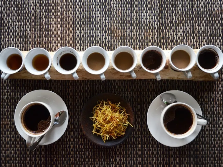 caffè ginseng