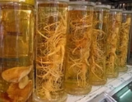 effetti ginseng