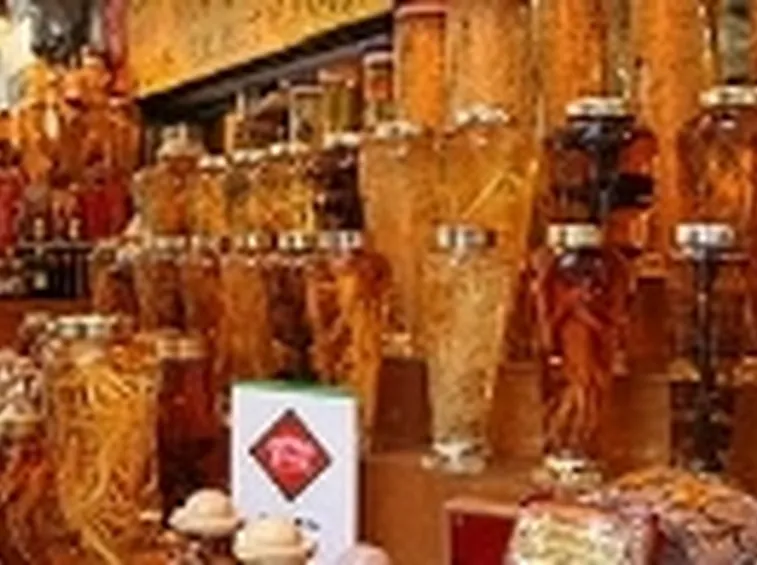 effetti ginseng2