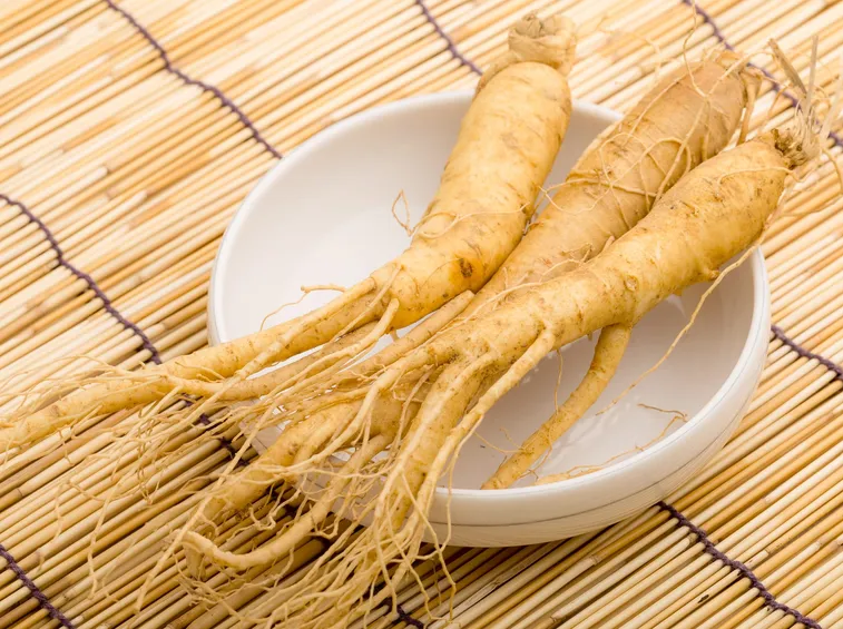 ginseng radici