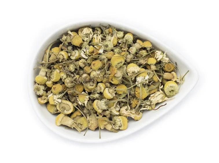 infuso di camomilla