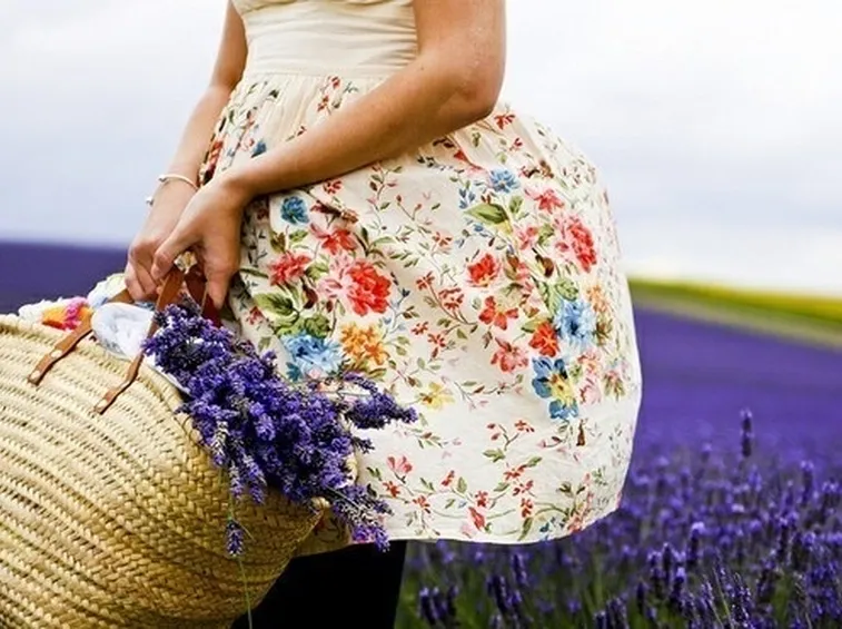 Fiori di lavanda essiccati