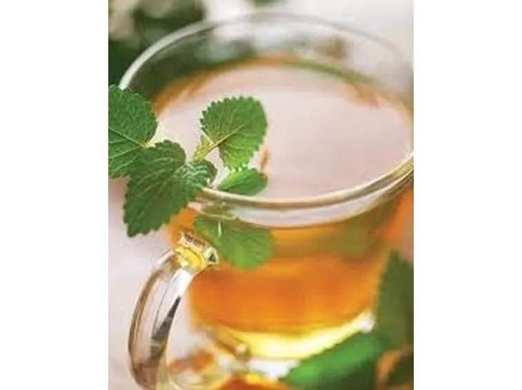 Infusi di origano