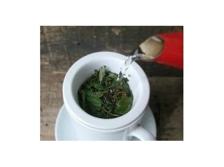 Infuso di origano