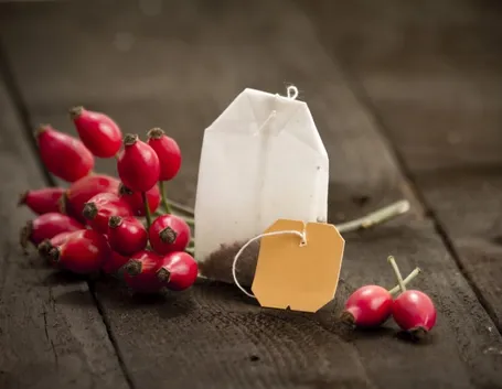 infuso di rosa canina