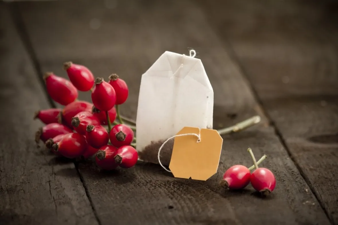 infuso di rosa canina
