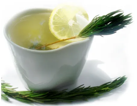 infuso di rosmarino