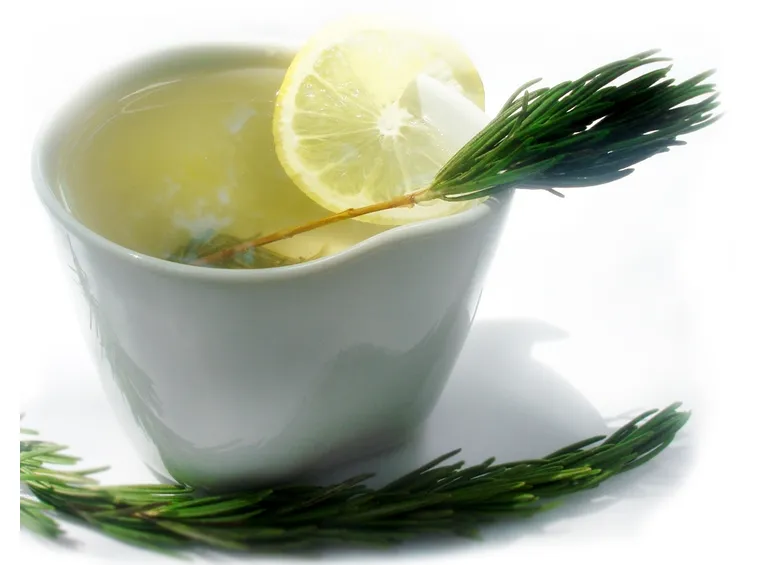infuso di rosmarino