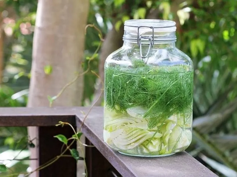 infuso di finocchio su un tavolo